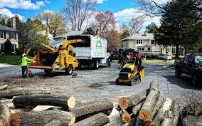 Leaf Removal in Joshua, TX